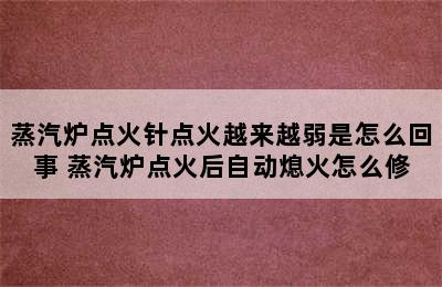 蒸汽炉点火针点火越来越弱是怎么回事 蒸汽炉点火后自动熄火怎么修